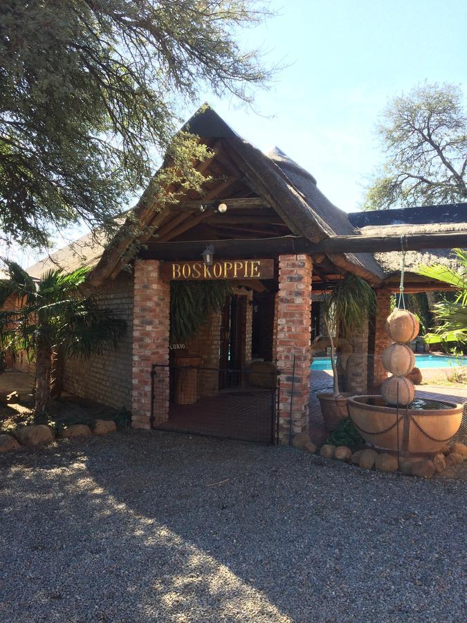 Boskoppie Lion & Tiger Reserve Kroonstad Exterior photo